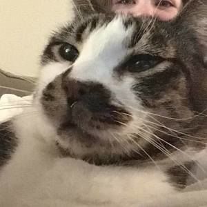 Meet your Posher, Pdub